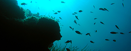 Parga Underwater